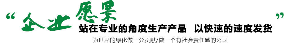 企業愿景